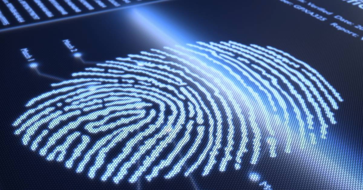 Идентификация по лицу. Пространственный интеллект. Машинного зрения и компьютерное зрение. Идентификация по лицу. Распознавание образов.