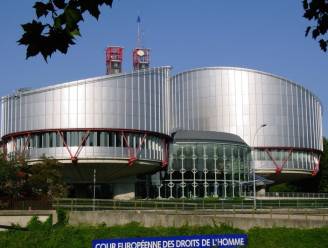 Sloveen wordt nieuwe voorzitter Europees Mensenrechtenhof