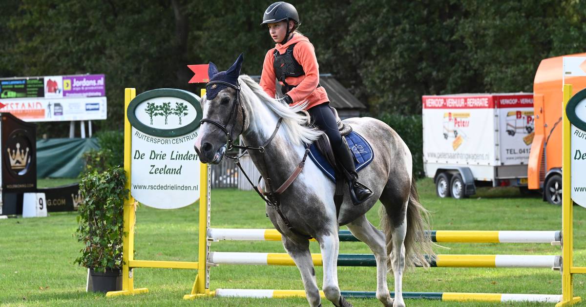 Van golden oldies tot jong talent tijdens het Hippisch Festijn Grave - BN DeStem