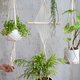 Hoe kun je hangplanten het beste verzorgen? Hier wat tips