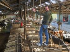 Survivallen boven de koeien stopt, Leekzicht Boerdonk gaat verder als zorgboerderij: ‘Daar gaat ons hart naar uit’