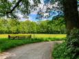 Ook in het Abraham Ledeboerpark kan je heerlijk wandelen.