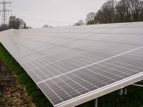 Pure Energie loopt te hard van stapel met zonnepark in Wierden; informatiebijeenkomst uitgesteld