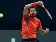 Robin Haase biedt zich aan als oppas