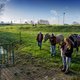 De manege lag op ‘duurzame’ grond, maar de paarden werden ziek: ‘De waterkwaliteit ging hard achteruit’