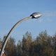Cd&v wil de straatverlichting uit in Vlaanderen