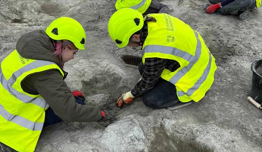 Grootste vindplaats ooit in Groot-Brittannië: arbeider ontdekt per toeval ‘snelweg van dinosauriërs’