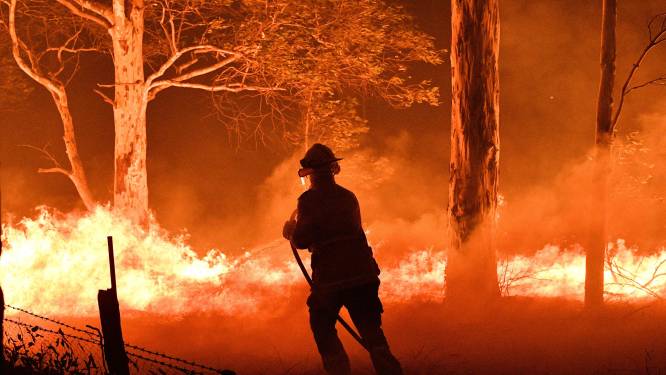 Rode Kruis haalt bijna half miljoen op voor hulp bij bosbranden Australië