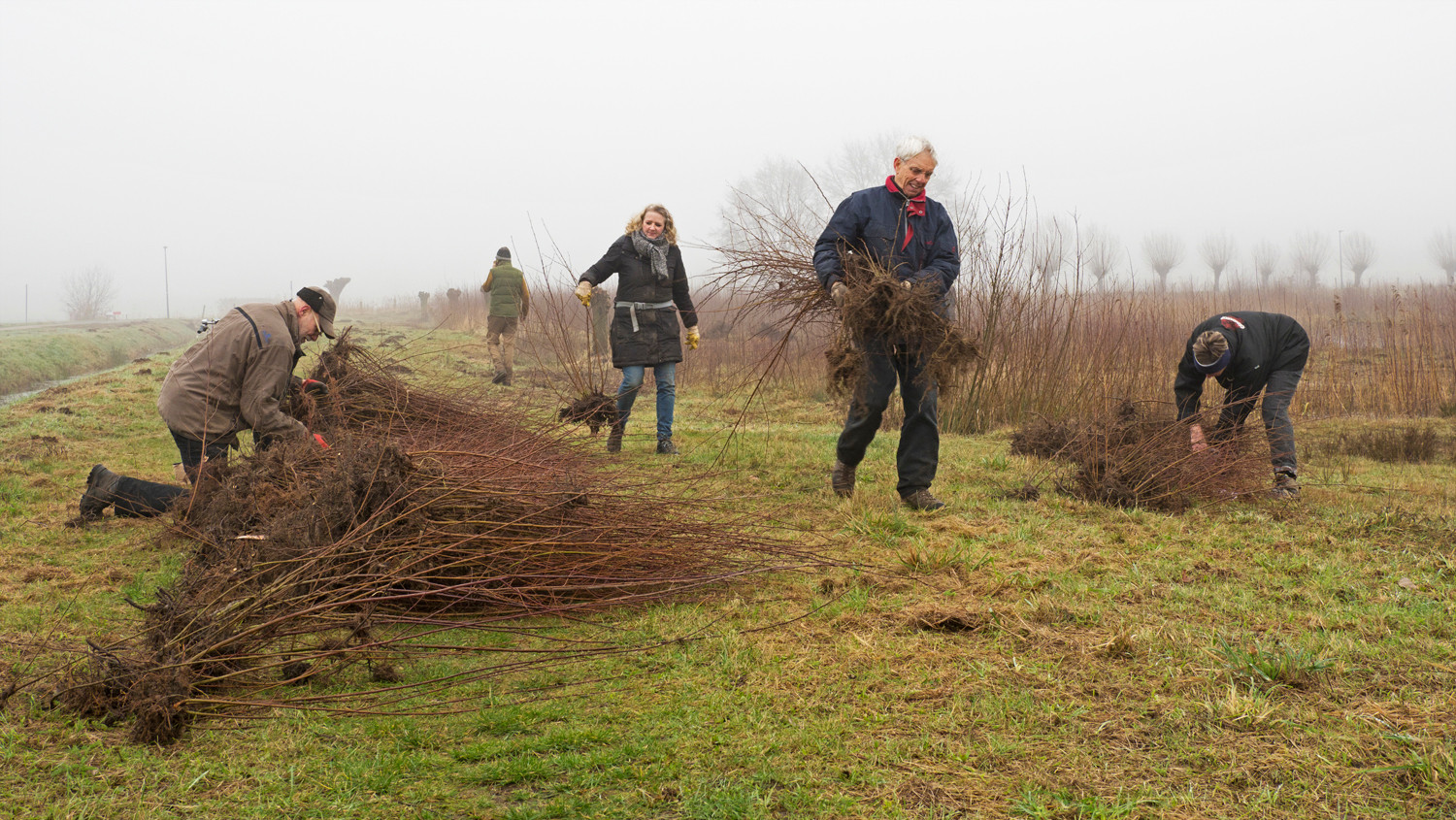 Vrijwilligers tijdens Oogstvierdaagse in De Gement. Na het spitten en uitsteken wacht het sorteren
