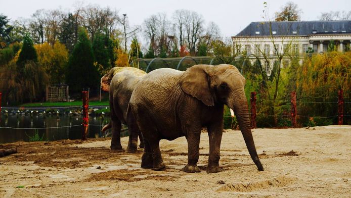 Pairi Daiza
