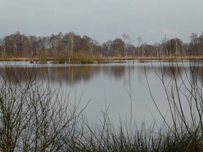Wandel door en leer over de geschiedenis van De Groote Peel