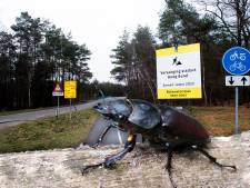 Vervaarlijk ogend insect heeft sleutelrol bij wel of niet slopen van ‘brokkelviaduct’ over A1 bij Apeldoorn