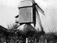 Na 100 jaar weer molen in Sint-Amands
