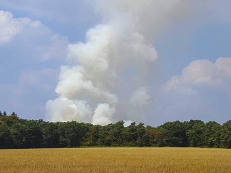 'Brandstichter' Hoge Veluwe werd door omstanders in de kraag gevat