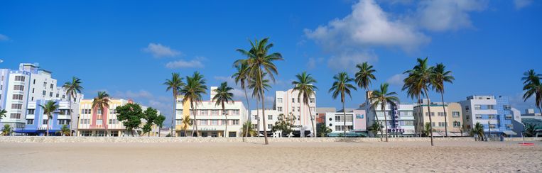 Miami Beach, hét iconische strand met palmbomen van Florida. Beeld CORBIS