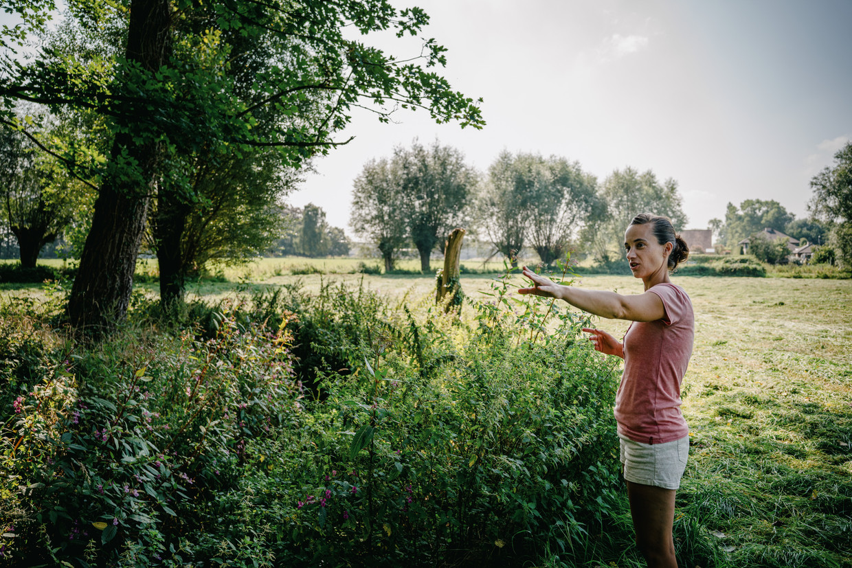 An May van het buurtactiecomité in Zedelgem. ‘Onze tuin is nu al vaak drassig. Wat zal dat straks worden, met al dat beton erbij?’ Beeld Wouter Van Vooren