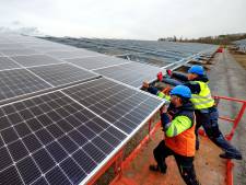 Efteling legt extra zonneweide aan met 12.000 zonnepanelen achter Crossroads