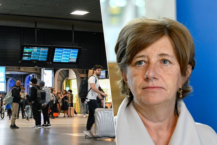 CEO NMBS Dutordoir vraagt partners om hulp voor situatie in Brusselse Zuidstation.