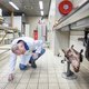 Inteelt, niet verkeer, grootste bedreiging otterpopulatie