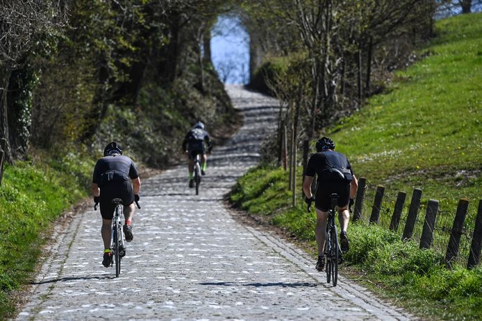Archiefbeeld. Wielertoeristen op de Koppenberg in Oudenaarde.