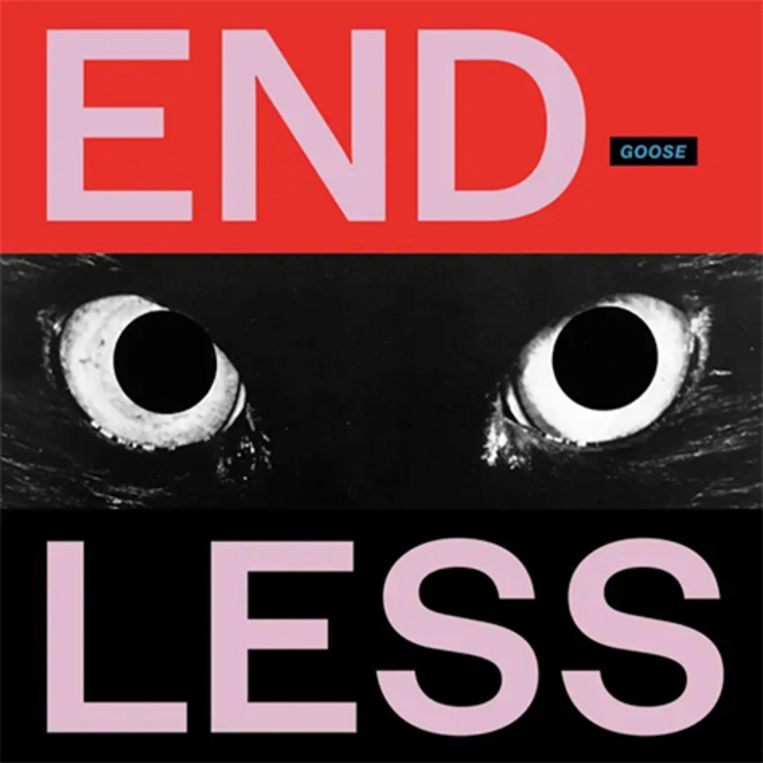 Goose – ‘Endless’. Beeld rv