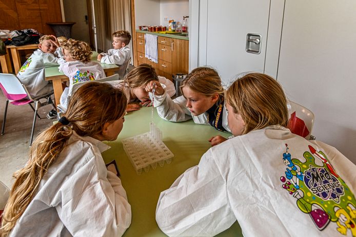 2021-08-30 - BERGEN OP ZOOM - Foto: Pix4Profs/Peter Braakmann - Mad Science start vandaag bij StayOkay in Bergen op Zoom. Kinderen gaan het bos in, doen proefjes bij StayOkay