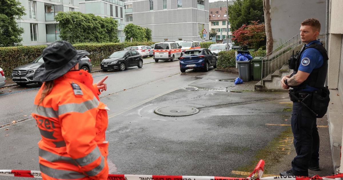 Jongeman (23) valt kinderen aan op weg naar opvang in Zürich: drie jongetjes (5) gewond