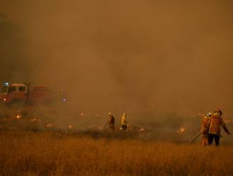 Brandweerman omgekomen bij bosbranden Australië