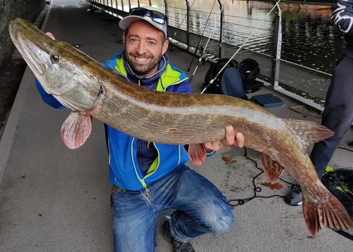 Pierre Goubau en zijn kameraad Thomas Lamaille wonnen de competitie met deze snoek van 112 centimeter die ze vingen aan de Sint-Jorisbrug. Een stevig beestje, maar het Belgisch record staat op maar liefst 134 centimeter.