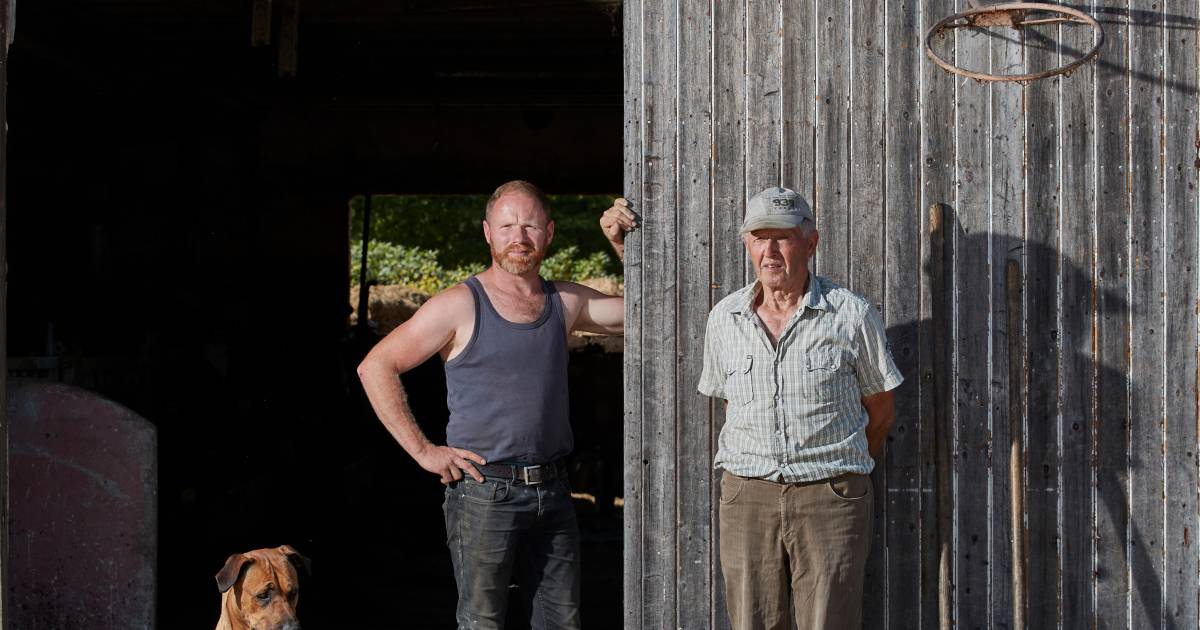 Van 1, naar 53, naar 120 koeien: wat doet boer Gert Jan anders dan zijn vader en opa?