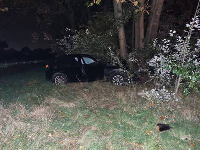 Auto knalt tegen een boom op afslag van A58 bij Wouwse Plantage