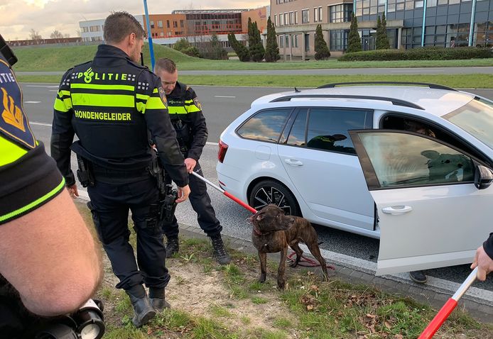 Postbode De Klos Bijtgrage Honden Slaan Toe In Zoetermeer Zoetermeer Ad Nl