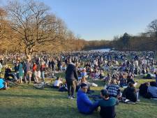 Le bois de la Cambre en mode Tomorrowland: une blague devenue virale