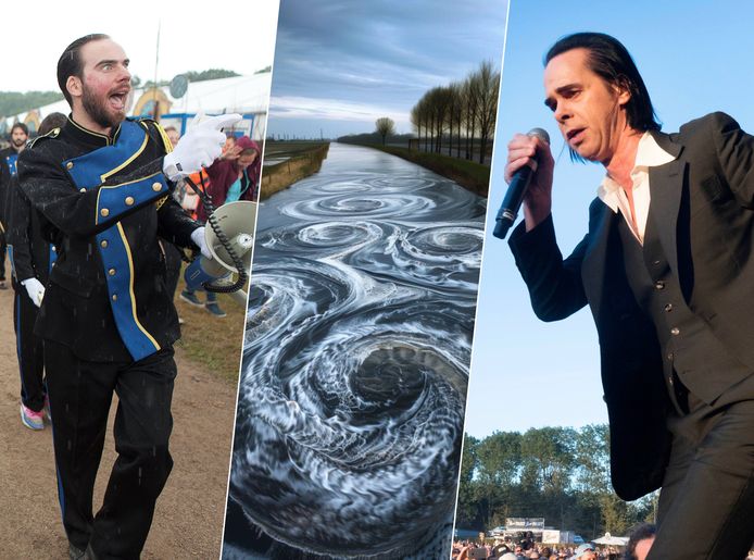 Zeven hoogtepunten uit tien jaar Down The Rabbit Hole: iedereen was ...
