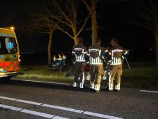 Poolse man (41) botst tegen drie bomen en komt om in Zevenbergschen Hoek