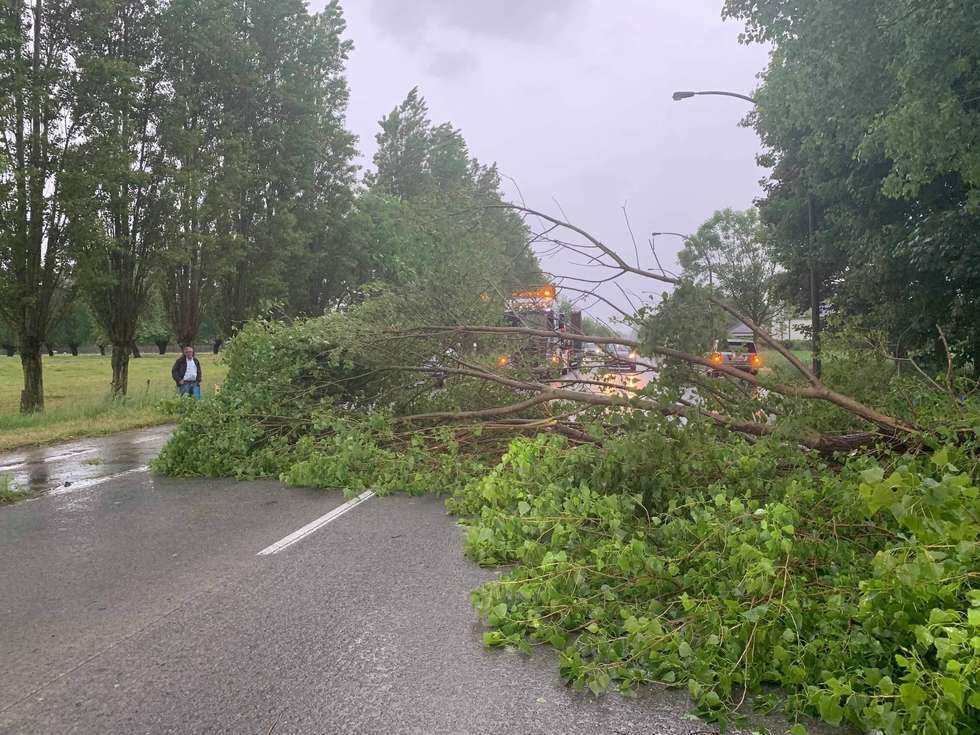 980?appId=8ef24fa41e4bddfa7db0f5082d5ff1