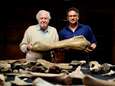 Vijf mammoeten van wel 200.000 jaar oud opgegraven in Verenigd Koninkrijk
