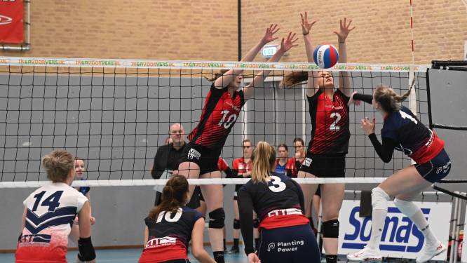 Volleybalclub Activia neemt bij Dynamo ontslagen trainer aan: 'Smet op zijn blazoen, maar supergoeie trainer’