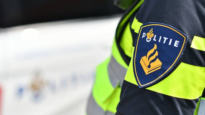Bestelbus ramt boom in Heemskerk, bestuurder aangehouden