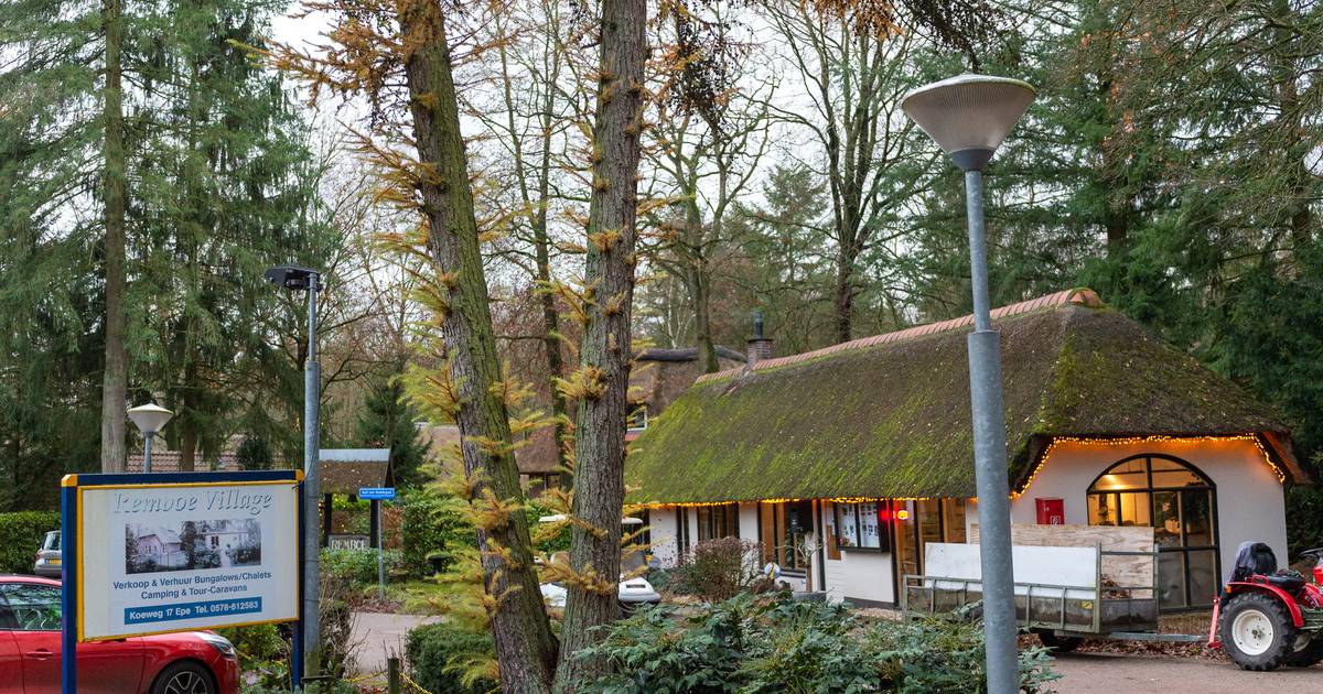 staking Leuren onenigheid EuroParcs uit Apeldoorn voegt onder meer park in Epe aan rap groeiend  imperium toe: 'Willen grootste van Europa worden' | Apeldoorn | destentor.nl