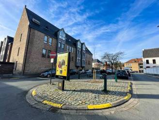 Tegeltuin aanleggen of voortuin ontharden? Stad Diest start met 6 onthardingsprojecten