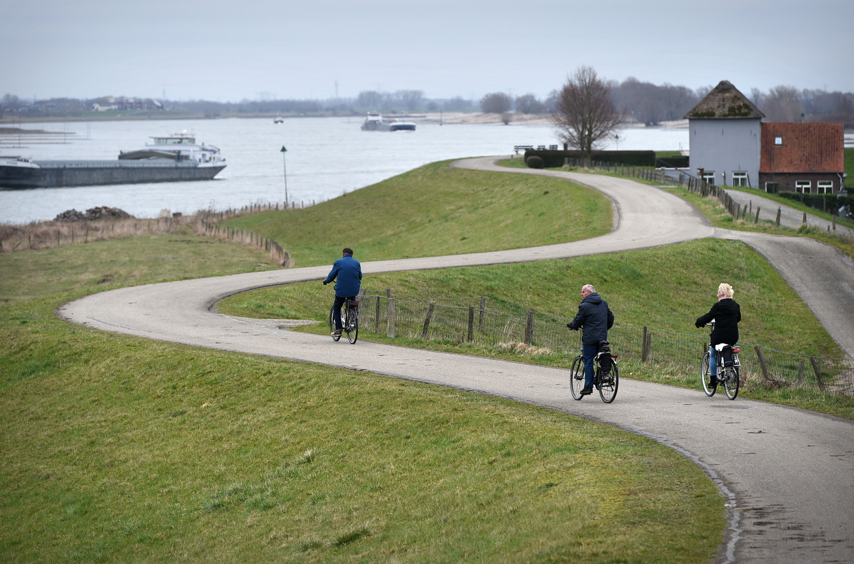 E-bikers (de vrouw en de voorste man) op de Waaldijk bij Beneden-Leeuwen. Beeld Marcel van den Bergh