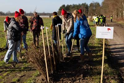 Nieuw bos in Wintelre in de maak: weer een stap dichter bij 400.000 extra bomen in gemeente Eersel