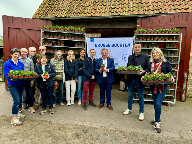 Buurtcomités vragen samen liefst 122.059 bloemen aan in Brugge, en da’s een record