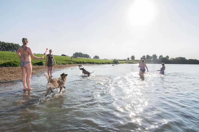 Recreanten mogen al vanaf woensdag 3 juni zwemmen en van de zon genieten op recreatieterrein De Gravenbol tussen Amerongen en Wijk bij Duurstede