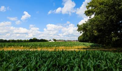 Grondspeculatie in Riel: akkerland na paar weken als ‘toekomstige bouwkavels’ vijf keer zo duur verk