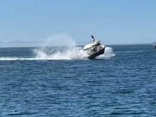 Un bateau et des touristes catapultés dans les airs après avoir heurté une baleine à bosse géante