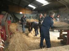 De Stofvreters dorsen in Berlicum voor parapluhooibergen