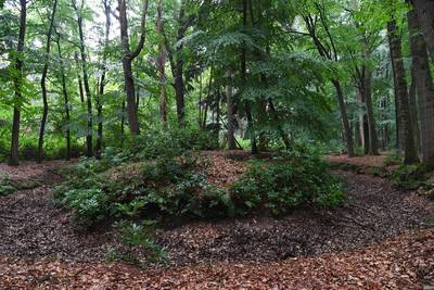 Jarige Rabobank schenkt Biest-Houtakker 50.000 euro voor vier projecten
