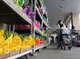 Bloemisten willen verbod op verkoop van bloemen en planten buiten supermarkten